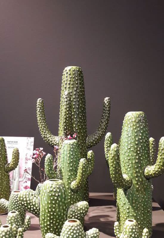Décoration cactus : le cactus pique notre intérêt ! - Elle Décoration