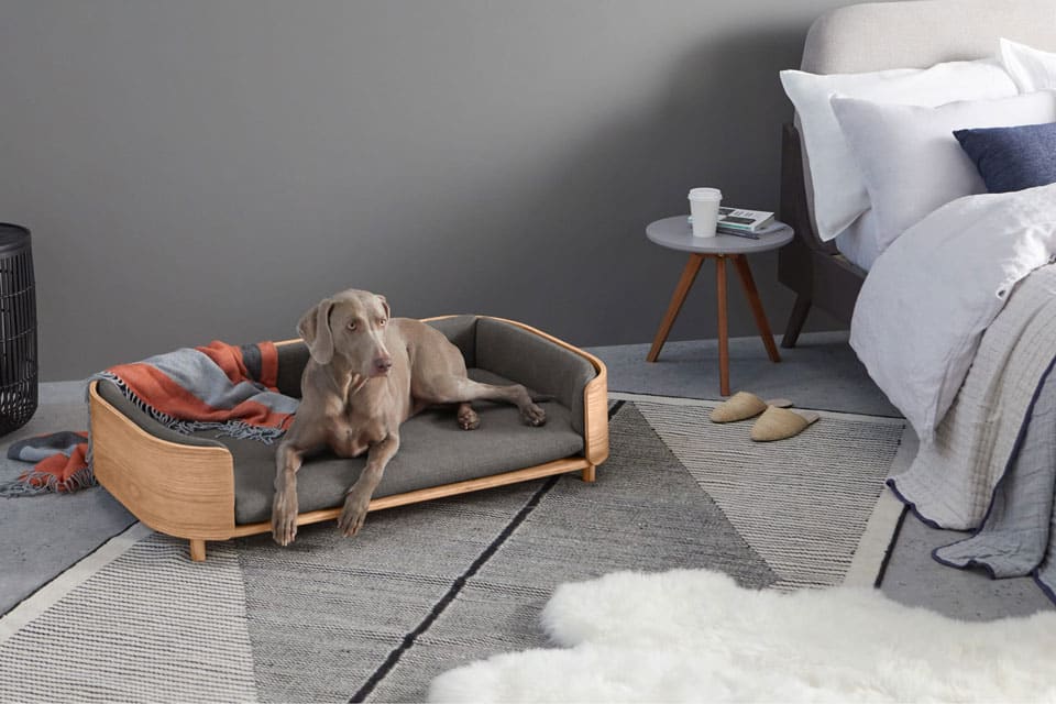 Panier pour chien design : des modèles alliant confort et style !