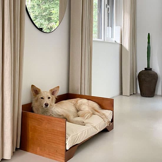 Panier pour chien design : des modèles alliant confort et style !